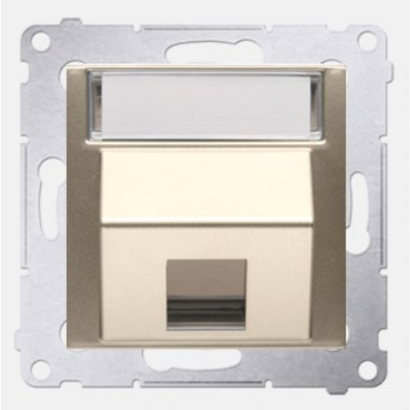 Kontakt Simon, Simon 54, Pokrywa gniazd teleinformatycznych na Keystone skośna pojedyncza z polem opisowym, złoty mat, metalizowany Kod DKP1S.01/44