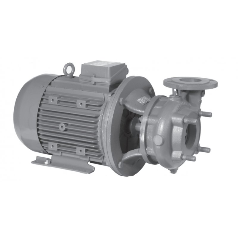 LFP 65PJM130 Pompy jednostopniowe standardowe Kod A101-065-130-03